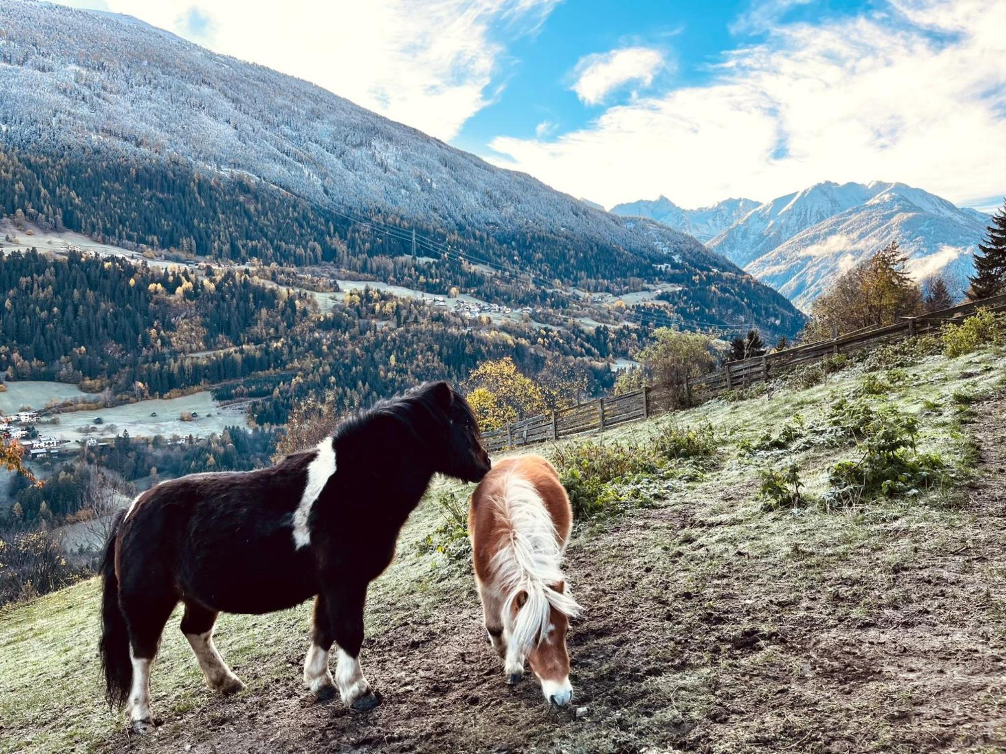Apart Alpenzeit Arzl im Pitztal Exterior foto